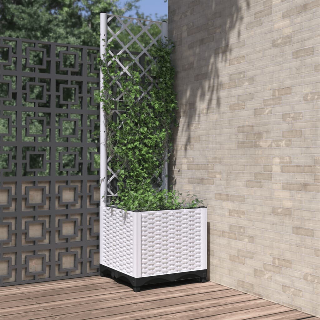 Fioriera Giardino Con Graticcio 120X40X136Cm Pp