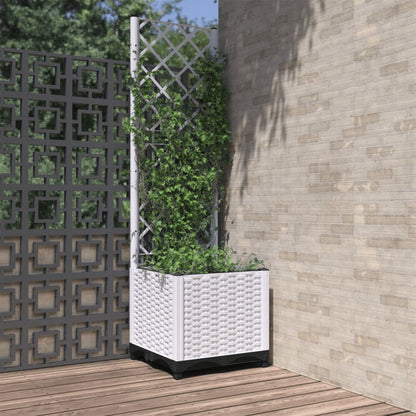 Fioriera Giardino Con Graticcio 120X40X136Cm Pp
