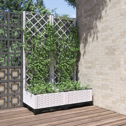 Fioriera Giardino Con Graticcio 120X40X136Cm Pp