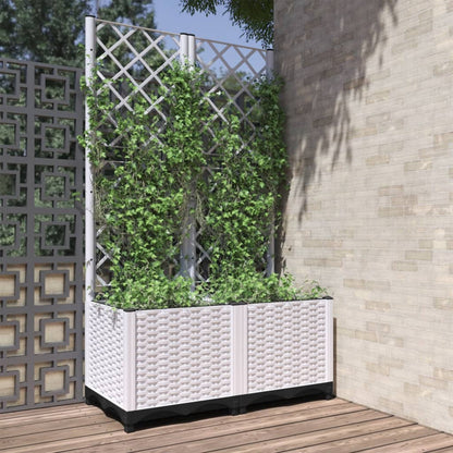 Fioriera Giardino Con Graticcio 120X40X136Cm Pp