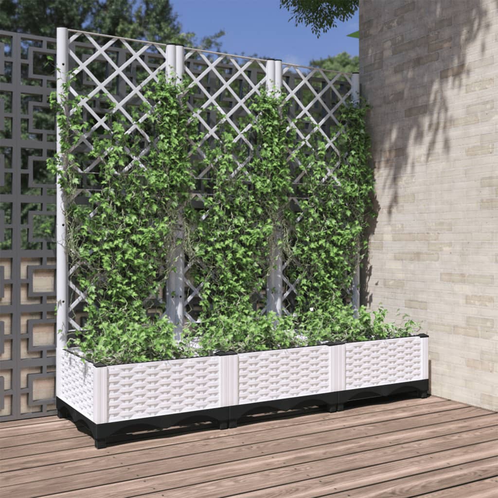 Fioriera Giardino Con Graticcio 120X40X136Cm Pp