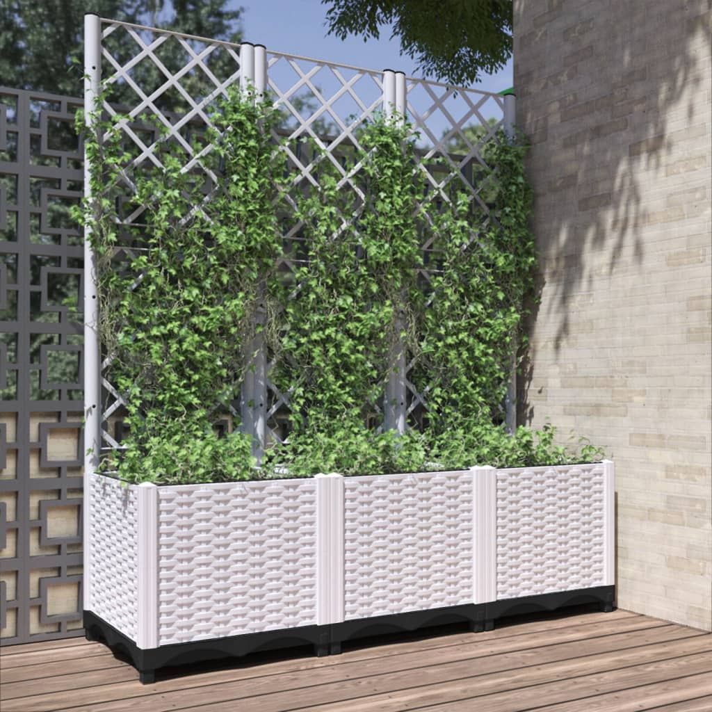 Fioriera Giardino Con Graticcio 120X40X136Cm Pp