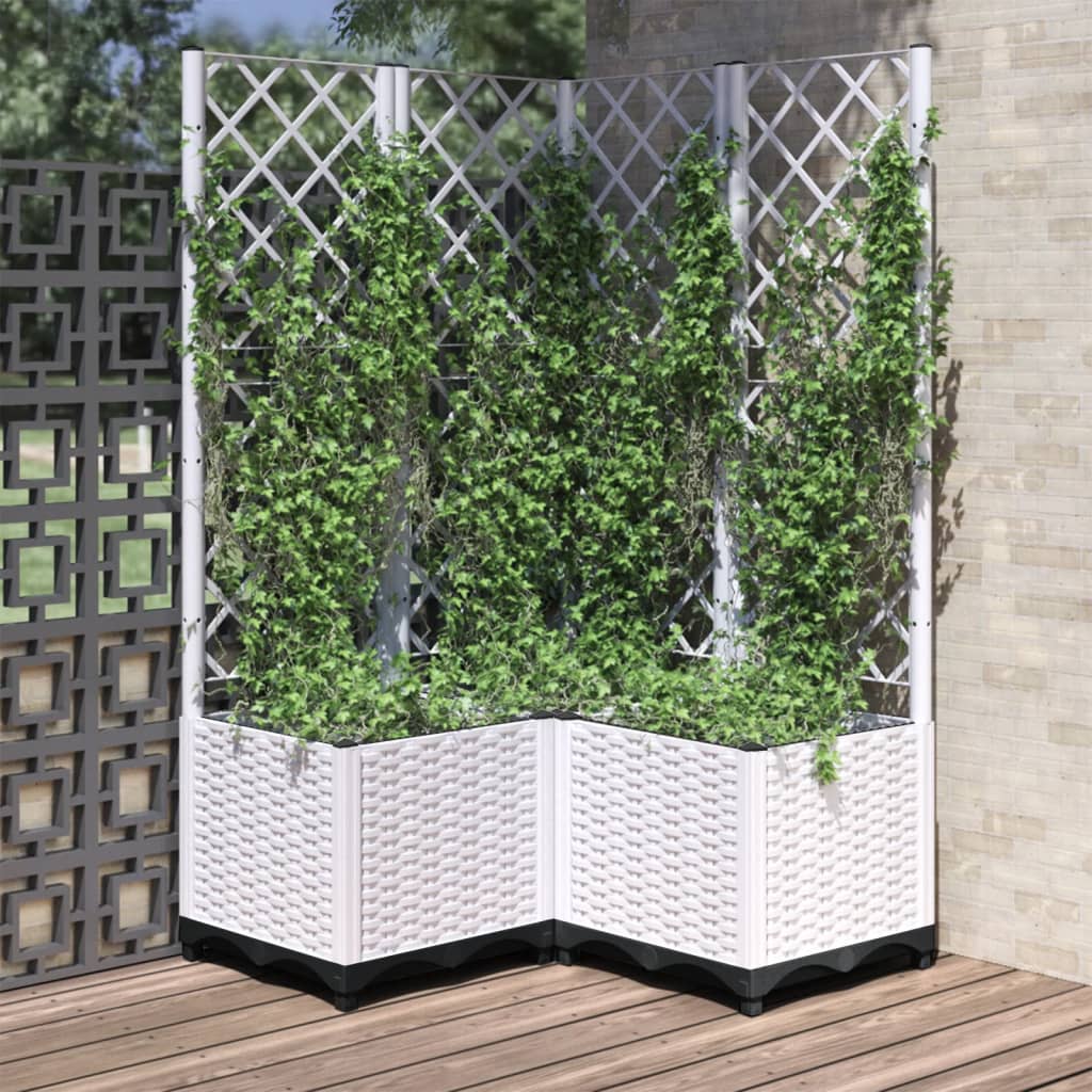 Fioriera Giardino Con Graticcio 120X40X136Cm Pp