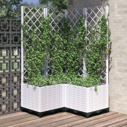 Fioriera Giardino Con Graticcio 120X40X136Cm Pp