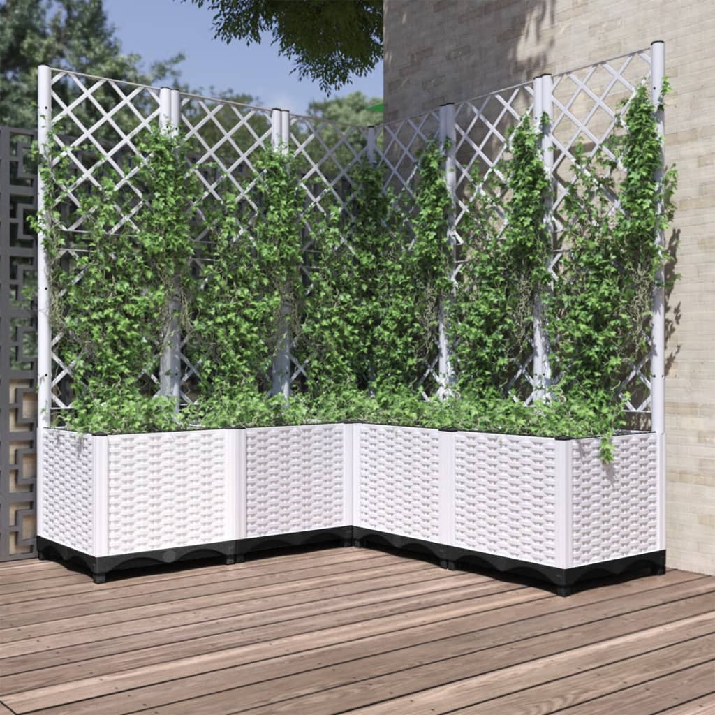 Fioriera Giardino Con Graticcio 120X40X136Cm Pp