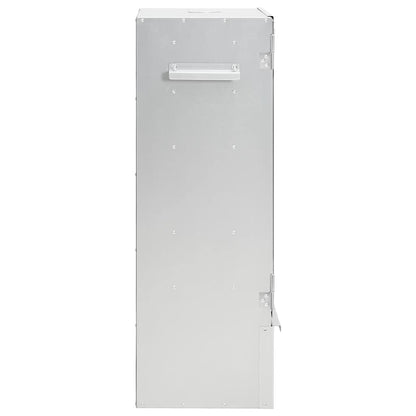 Forno Affumicatore Bbq Generatore Fumo Freddo Acciaio Zincato