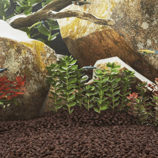 Rocce Vulcaniche 25 Kg Rosse 5-8 Mm