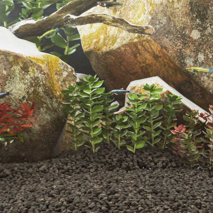 Rocce Vulcaniche 25 Kg Rosse 5-8 Mm