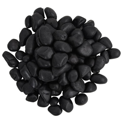 Ciottoli Levigati 10 Kg Neri 2-5 Cm