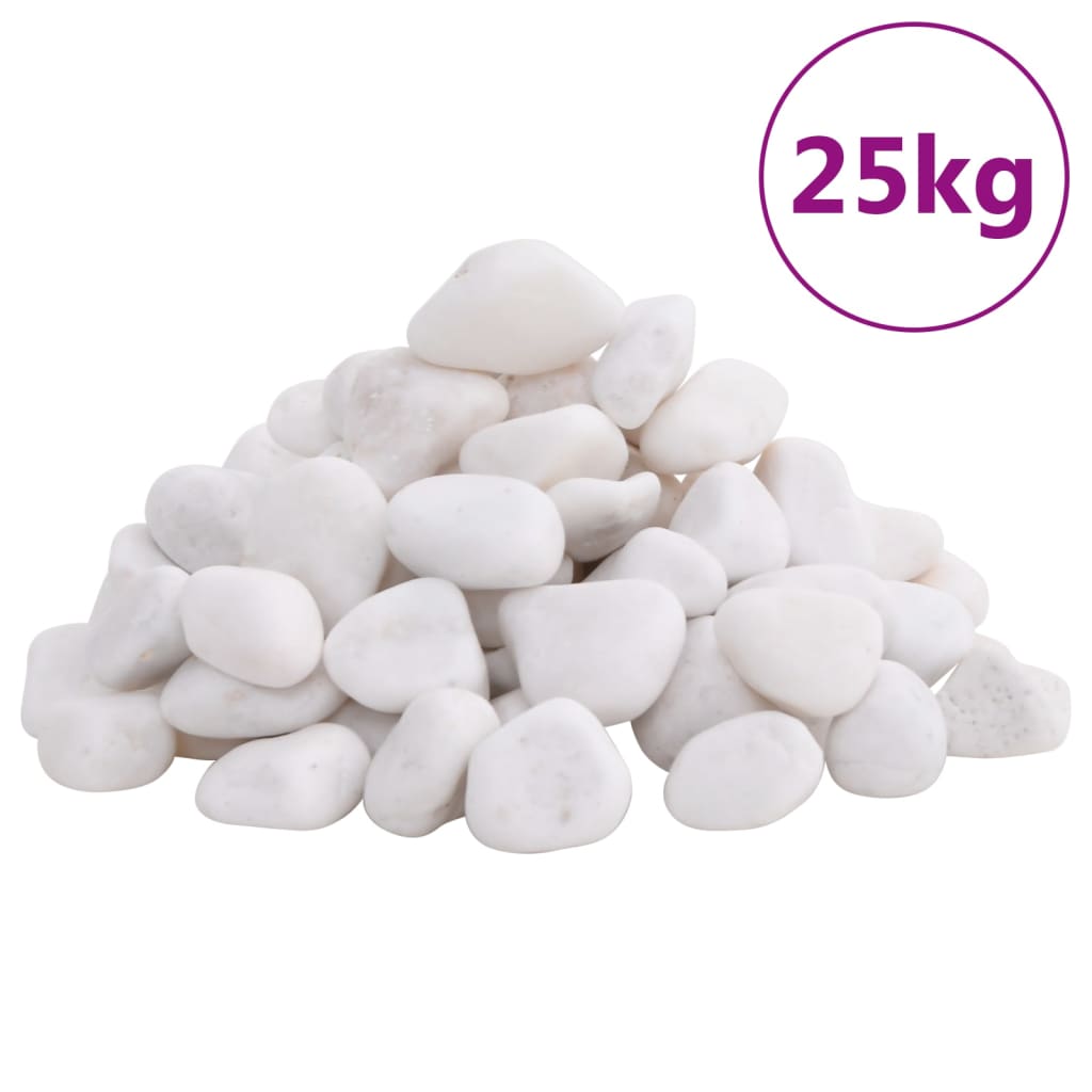 Ciottoli Levigati 10 Kg Neri 2-5 Cm