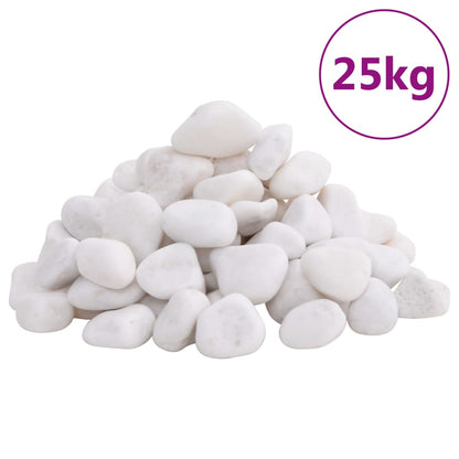 Ciottoli Levigati 10 Kg Neri 2-5 Cm