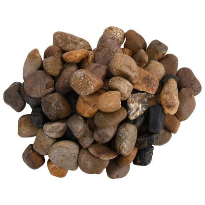 Ciottoli Levigati 25 Kg Colore Misto 2-5 Cm