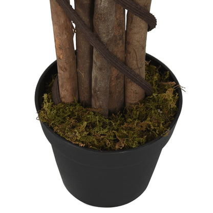 Albero Ficus Lyrata 180 Foglie Verde