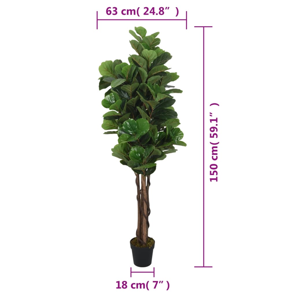 Albero Ficus Lyrata 180 Foglie Verde