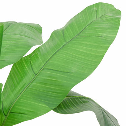 Albero Di Banano Artificiale 9 Foglie Verde