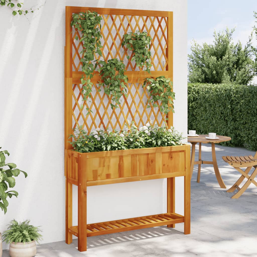 Fioriera Con Traliccio E Ripiano 55X29,5X152 Cm In Legno Acacia