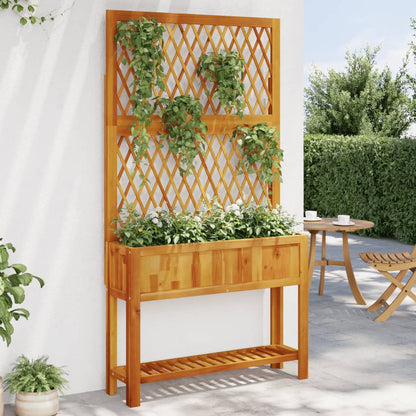 Fioriera Con Traliccio E Ripiano 55X29,5X152 Cm In Legno Acacia
