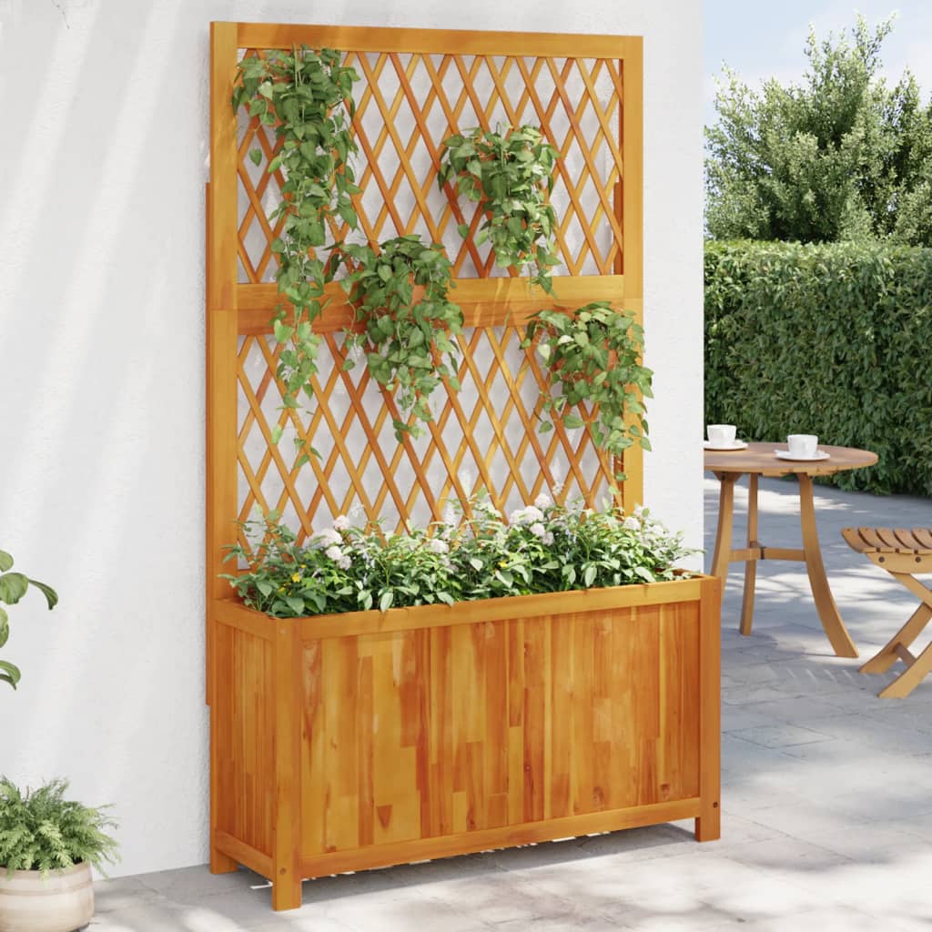 Fioriera Con Traliccio 55X29,5X132 Cm Legno Massello Di Acacia