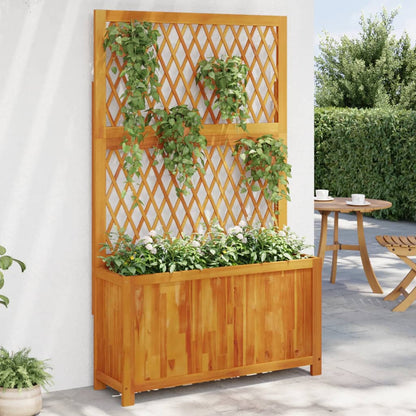 Fioriera Con Traliccio 55X29,5X132 Cm Legno Massello Di Acacia