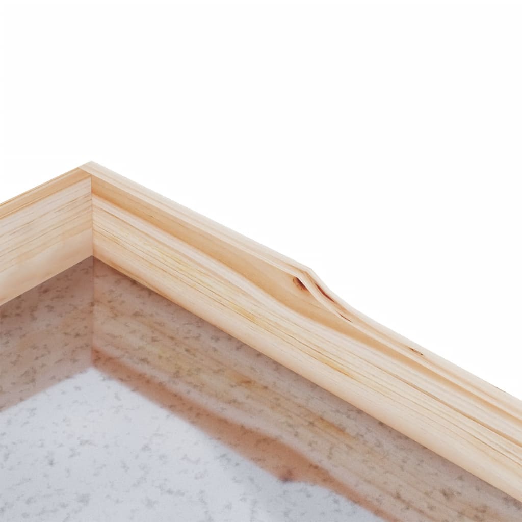 Tavolo Piante Con Ripiani 78X38X,82,5Cm Legno Massello Abete