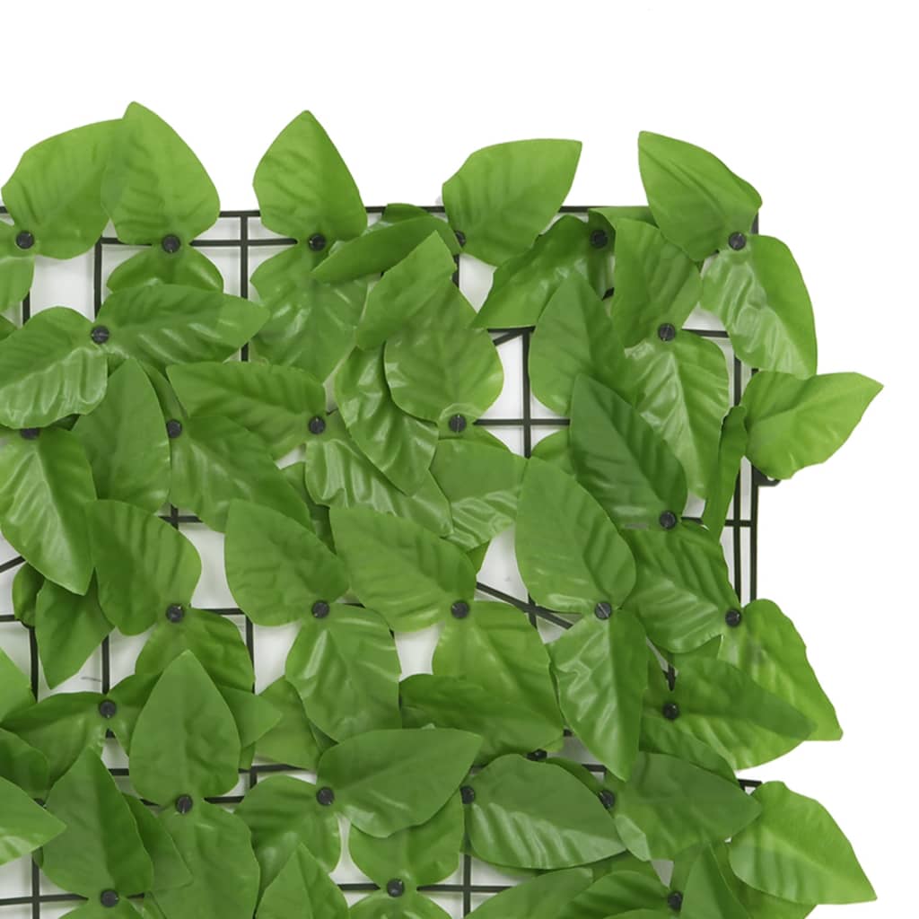 Schermo Privacy Da Balcone Con Foglie