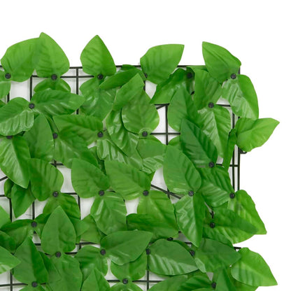 Schermo Privacy Da Balcone Con Foglie