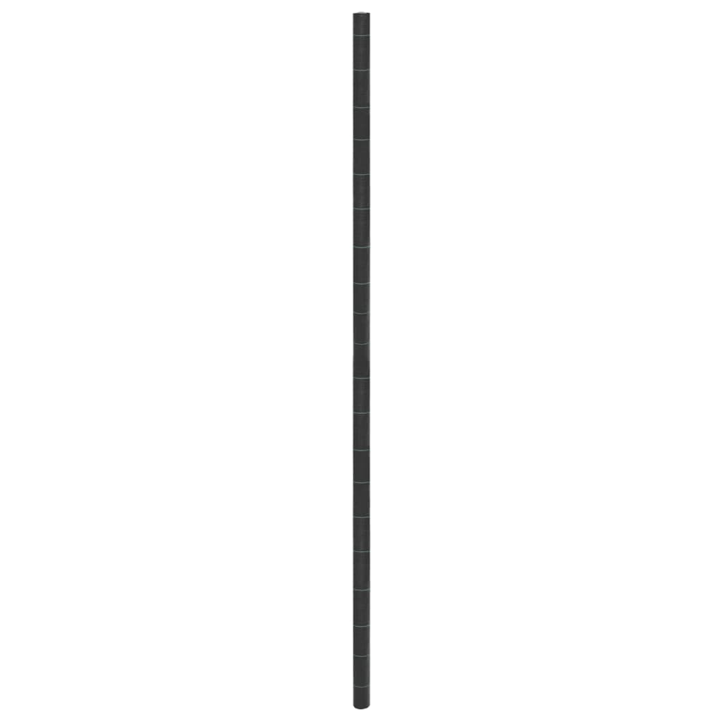 Membrana Antierbacce Nera 1X150 M In Pp