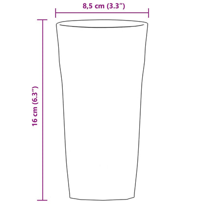 Bicchieri Da Birra 6 Pz