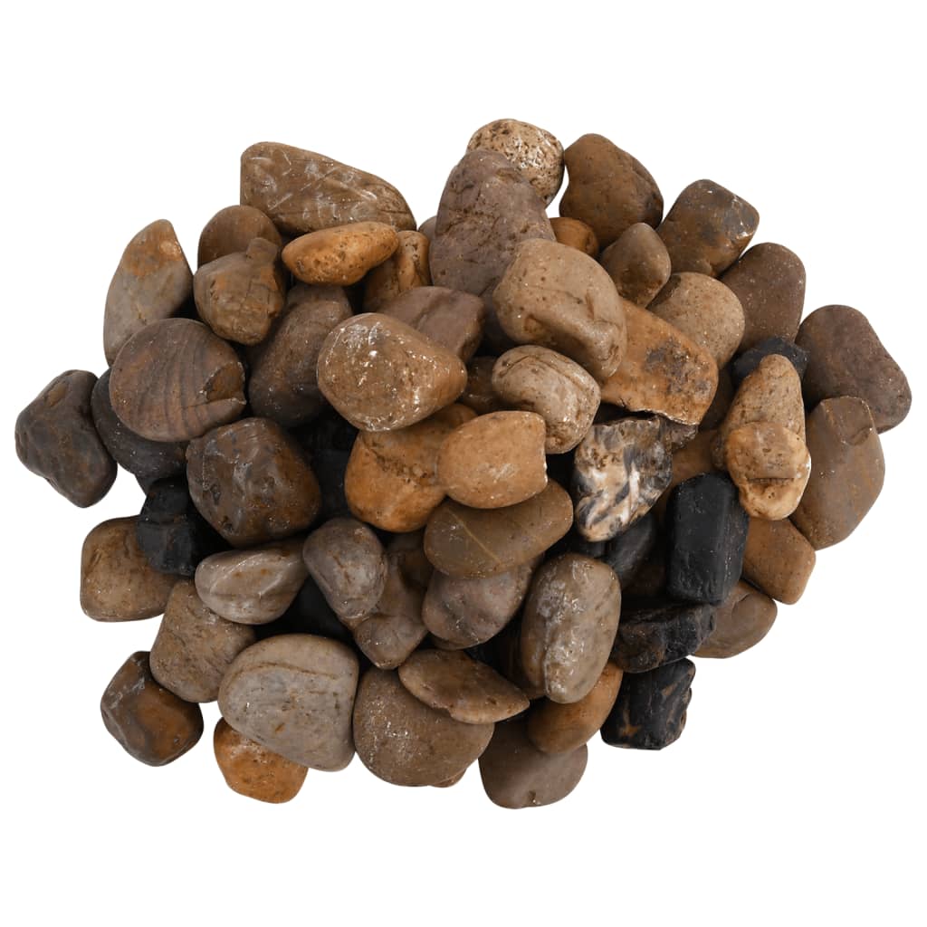 Ciottoli Levigati 25 Kg Colore Misto 2-5 Cm