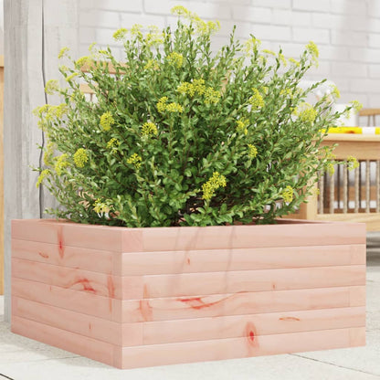 Fioriera Da Giardino 40X40X49,5 Cm In Legno Massello Di Douglas Douglas Naturale