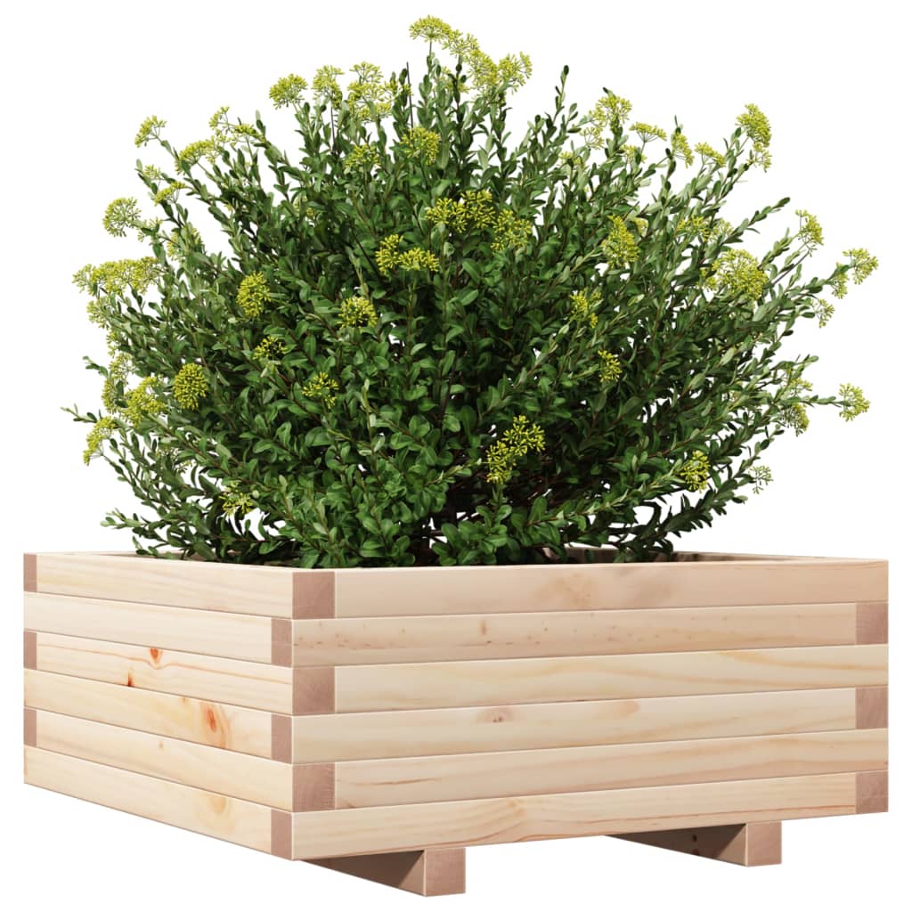 Fioriera Da Giardino 60X60X26,5 Cm In Legno Massello Di Pino Pino Naturale