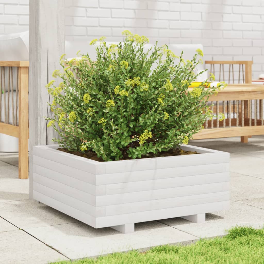 Fioriera Da Giardino Bianca 60X60X26,5Cm Legno Massello Di Pino Douglas Naturale