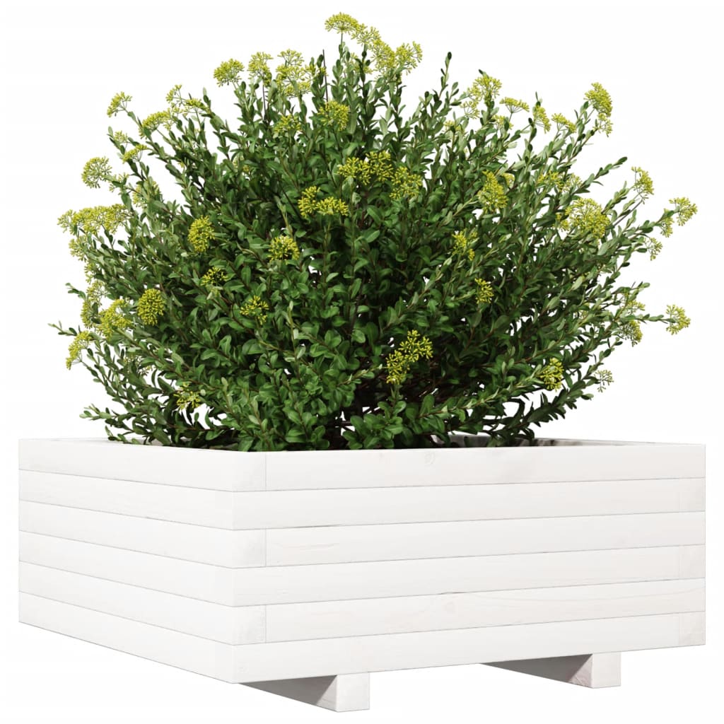 Fioriera Da Giardino Bianca 60X60X26,5Cm Legno Massello Di Pino Douglas Naturale