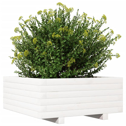 Fioriera Da Giardino Bianca 60X60X26,5Cm Legno Massello Di Pino Douglas Naturale