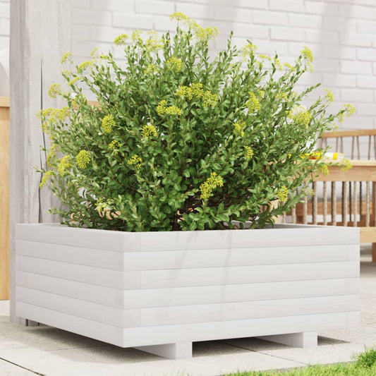 Fioriera Da Giardino Bianca 60X60X26,5Cm Legno Massello Di Pino Douglas Naturale