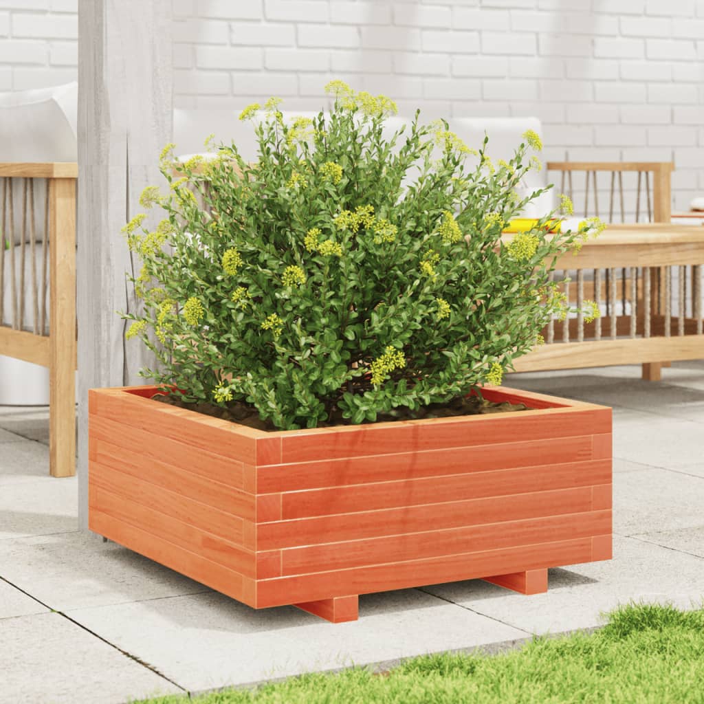 Fioriera Giardino Marrone Cera 60X60X26,5Cm Legno Massello Pino Pino Naturale