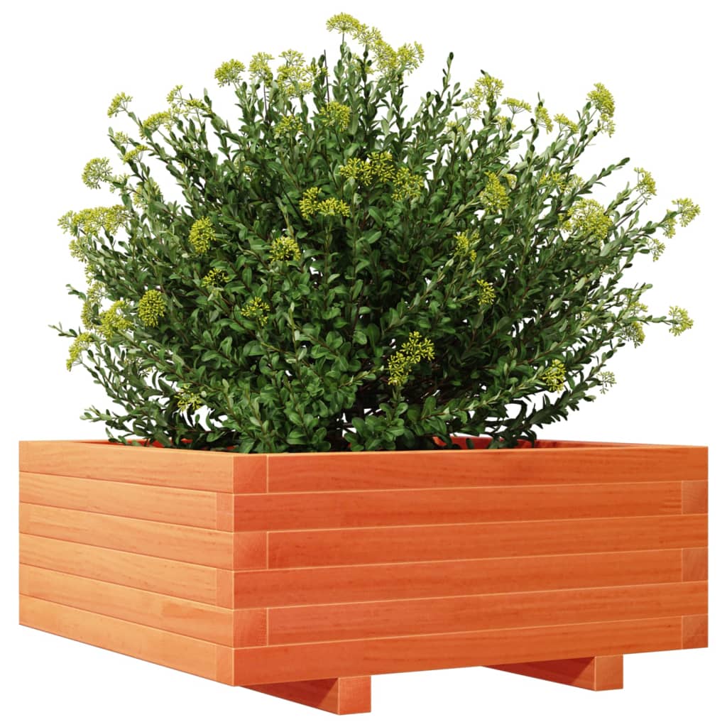 Fioriera Giardino Marrone Cera 60X60X26,5Cm Legno Massello Pino Pino Naturale