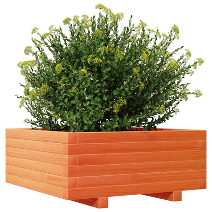 Fioriera Giardino Marrone Cera 60X60X26,5Cm Legno Massello Pino Pino Naturale