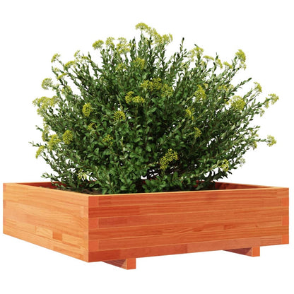 Fioriera Giardino Marrone Cera 90X90X26,5Cm Legno Massello Pino Pino Naturale