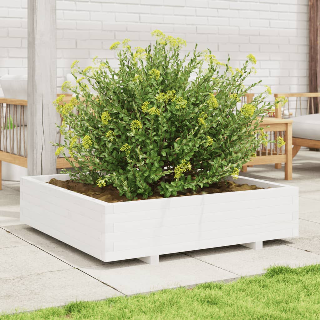 Fioriera Da Giardino Bianca 100X100X26,5Cm Legno Massello Pino Douglas Naturale
