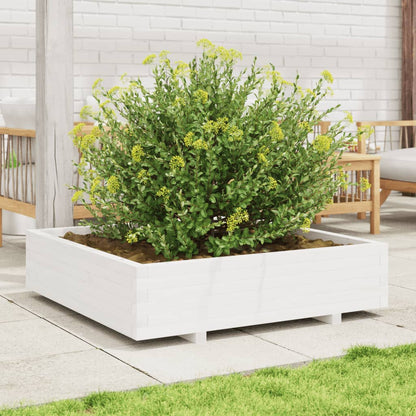 Fioriera Da Giardino Bianca 100X100X26,5Cm Legno Massello Pino Douglas Naturale