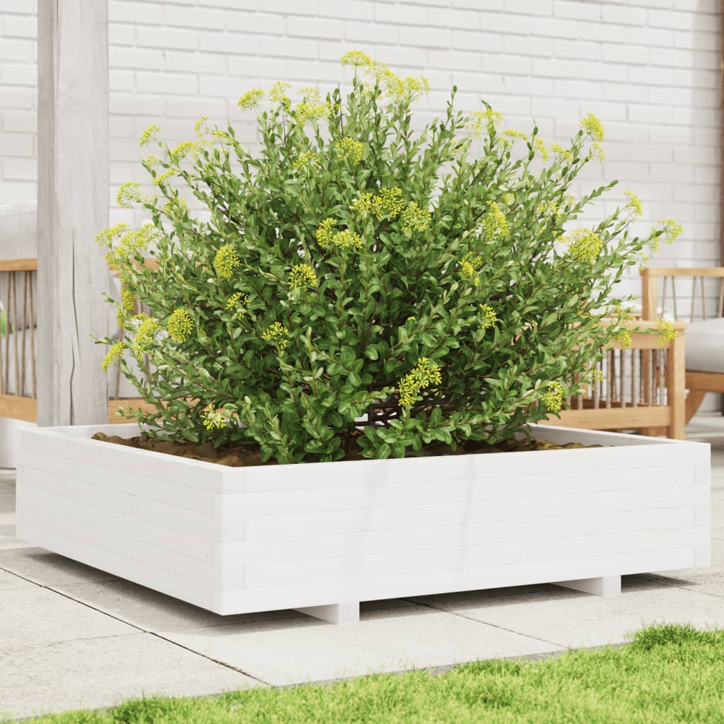 Fioriera Da Giardino Bianca 100X100X26,5Cm Legno Massello Pino Douglas Naturale
