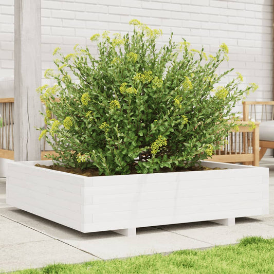 Fioriera Da Giardino Bianca 100X100X26,5Cm Legno Massello Pino Douglas Naturale