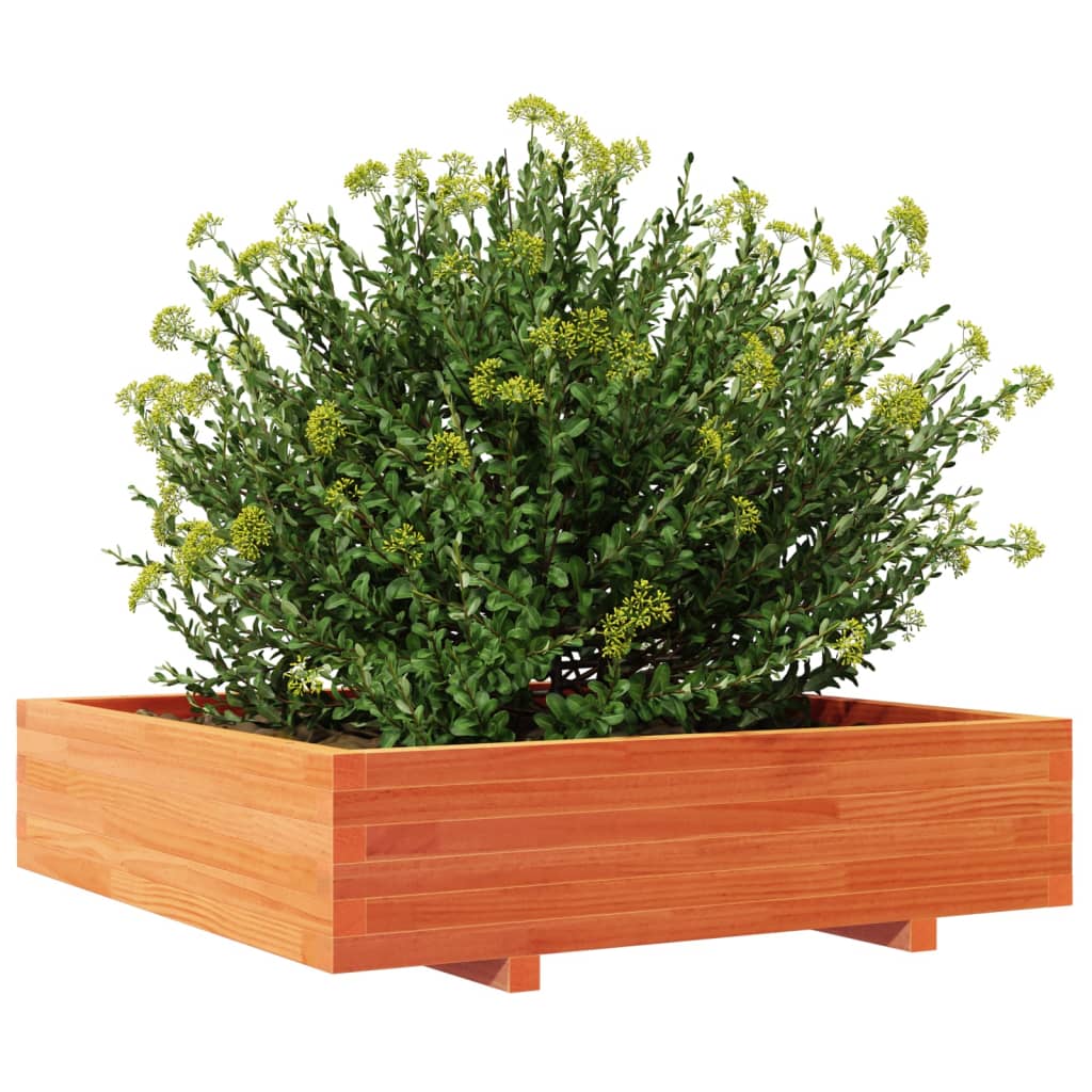 Fioriera Giardino 100X100X26,5Cm Legno Massello Pino Pino Naturale