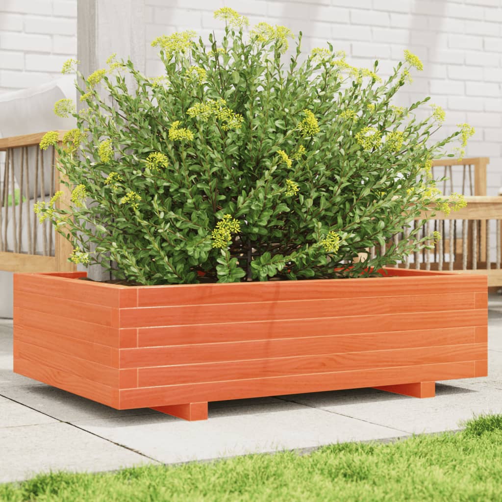 Fioriera Giardino Marrone Cera Legno Massello Pino Cera Marrone