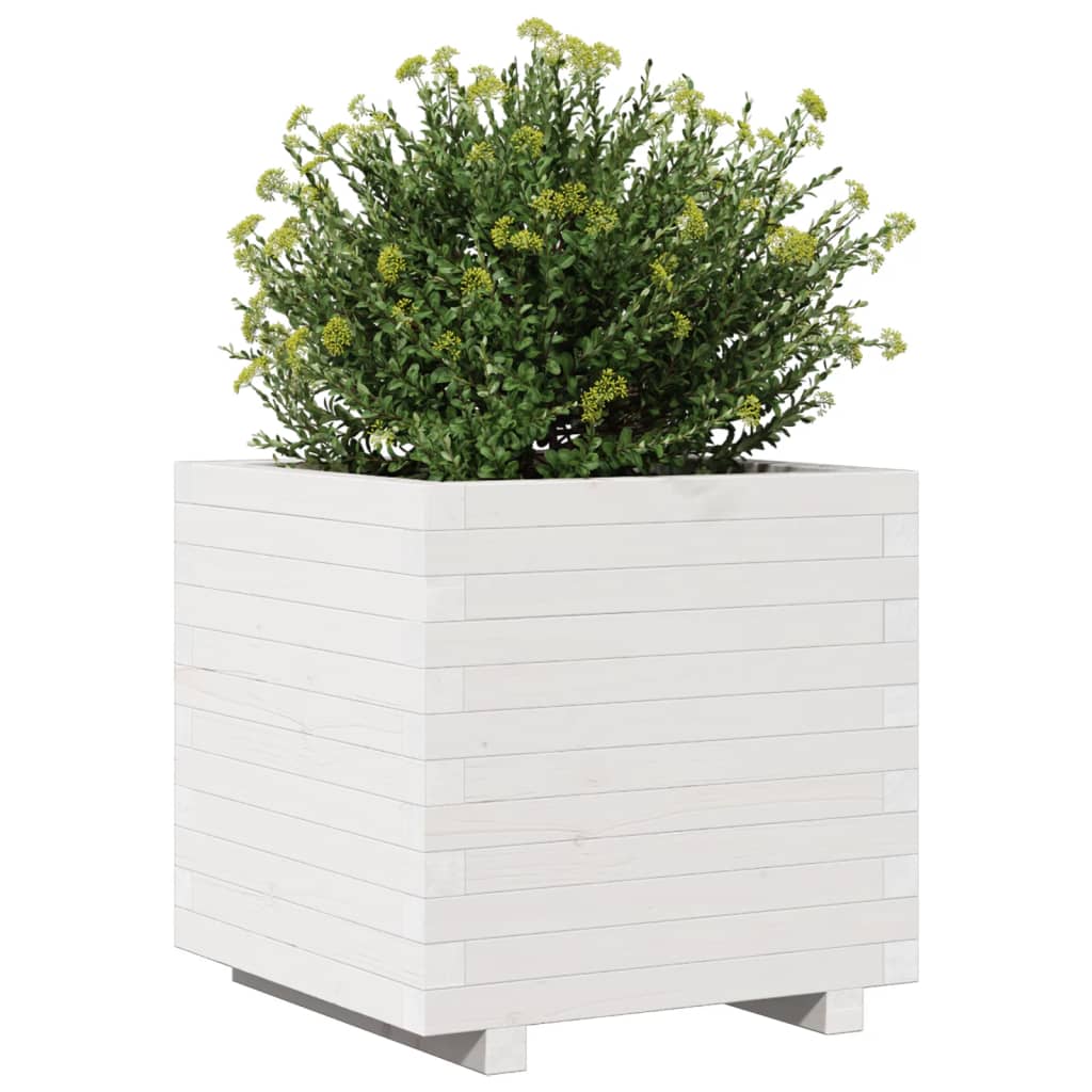 Fioriera Da Giardino Bianca 50X50X49,5Cm Legno Massello Di Pino Pino Naturale