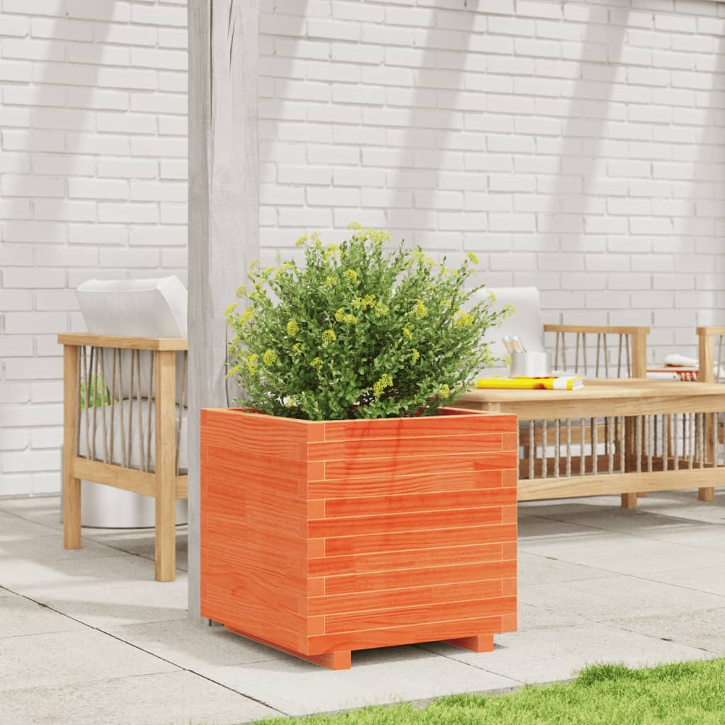 Fioriera Giardino Marrone Cera 50X50X49,5Cm Legno Massello Pino Douglas Naturale