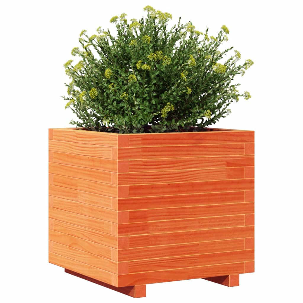 Fioriera Giardino Marrone Cera 50X50X49,5Cm Legno Massello Pino Douglas Naturale