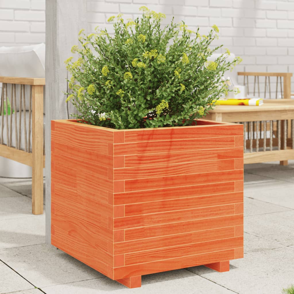 Fioriera Giardino Marrone Cera 50X50X49,5Cm Legno Massello Pino Douglas Naturale