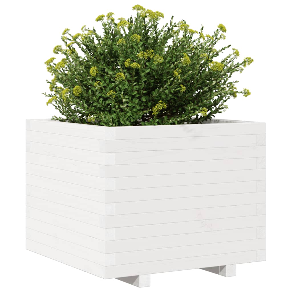 Fioriera Da Giardino Bianca 60X60X49,5Cm Legno Massello Di Pino Douglas Naturale